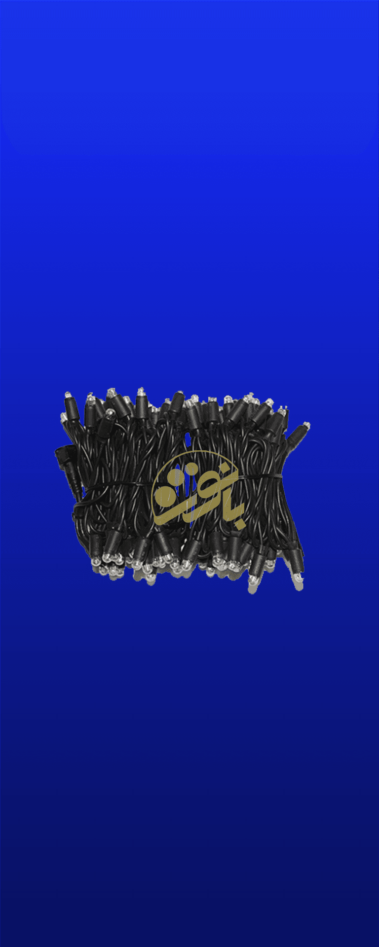 ریسه سوزنی مقاوم در هوای گرم جنوب ایران