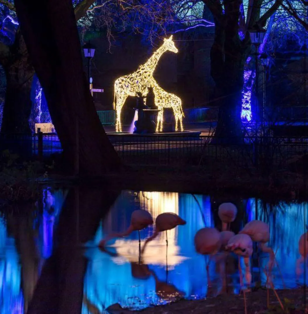 المان-نوری-زرافه-با-ریسه-های-نوری